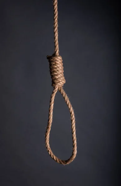 Close Hang Noose Rope Grey Background Studio — Stock Photo, Image