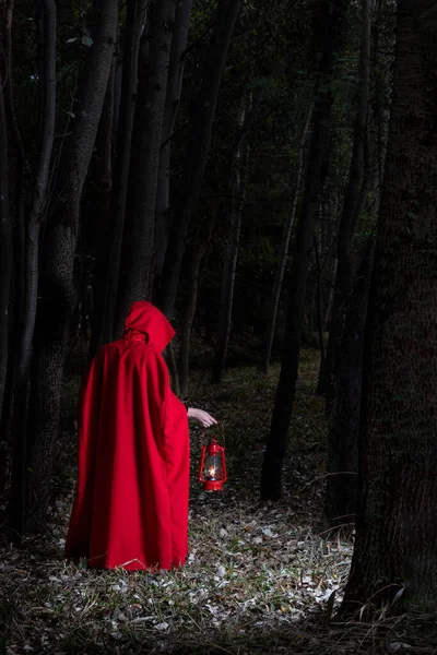 Atractiva Mujer Vestida Con Una Pequeña Capucha Roja Caminando Bosque — Foto de Stock