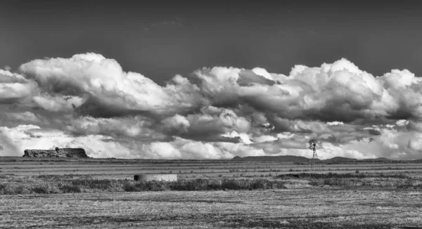 モノクロで白い雲のある風車や畑の風景 — ストック写真