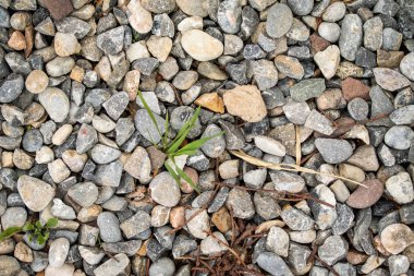 Yuvarlak deniz çakıl arka plan.