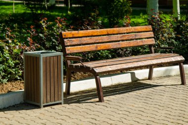 Güneş ışığının altındaki ahşap bank. Yaz Parkı.