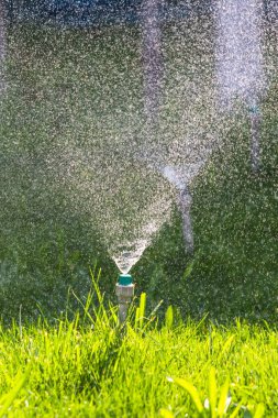 Sulama sistemi bokeh arka plan ile yeşil çim sulama.