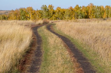 Çamur bulanık yol, sonbahar tarlası.