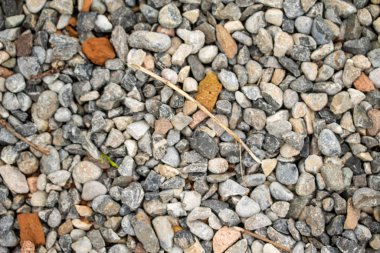 Yuvarlak deniz çakıl arka plan.