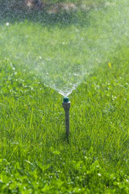 Sulama sistemi bokeh arka plan ile yeşil çim sulama.
