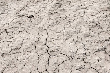 Kurutulmuş kırık toprak gri arka plan