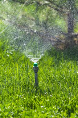 Sulama sistemi bokeh arka plan ile yeşil çim sulama.