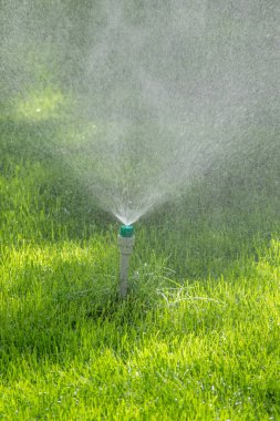 Sulama sistemi bokeh arka plan ile yeşil çim sulama.