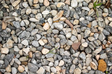 Yuvarlak deniz çakıl arka plan.