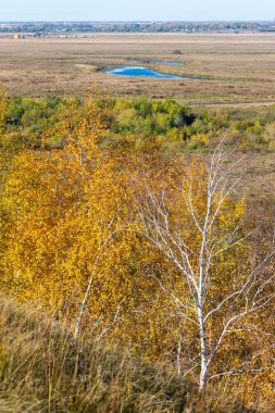 Sonbahar manzarası, sarı ağaçlar, ölü çimenler, mavi nehir. Güneşli bir sonbahar günü.
