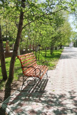 Tahta park tezgahı bahar manzarası.