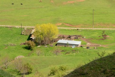 Manzara yeşil alan tepeler bulutlar ile gökyüzü