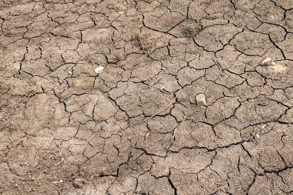 Grijze Achtergrond Van Gedroogde Gekraakte Aarde — Stockfoto