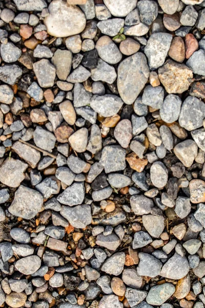背景圆的海鹅卵石 — 图库照片