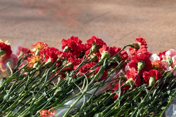 红色的康乃馨花是一个伟大的花束 — 图库照片