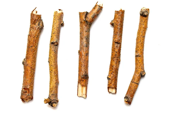 Beyaz arka planda yalıtılmış kuru dalları makro ağaçları. Bir dizi snags.