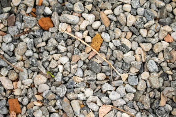 Yuvarlak deniz çakıl arka plan.