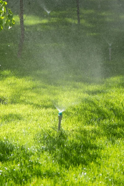 Bevattnings System Vattning Det Gröna Gräset Med Bokeh Bakgrund — Stockfoto