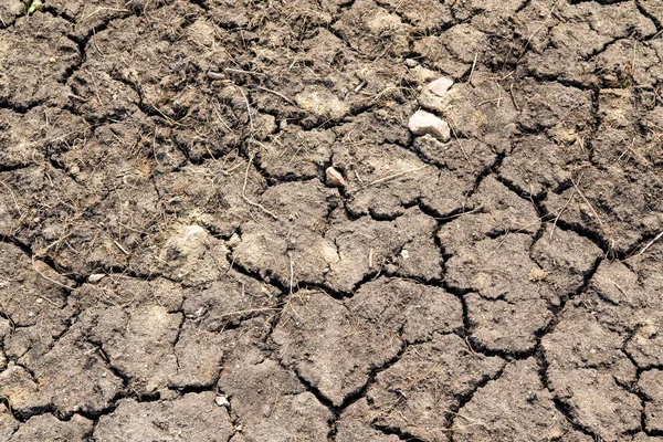 Grijze Achtergrond Van Gedroogde Gekraakte Aarde — Stockfoto