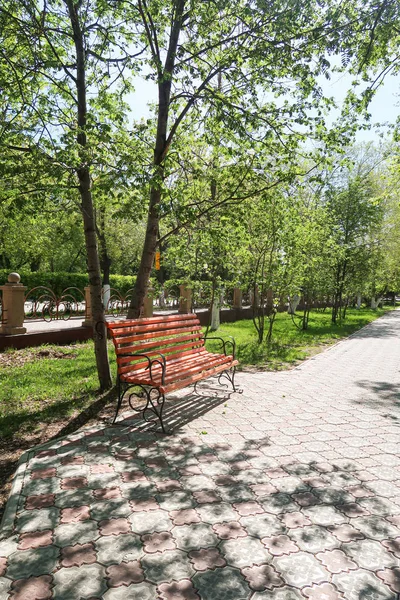 Wooden Park Bench Spring Landscape — Stock Photo, Image