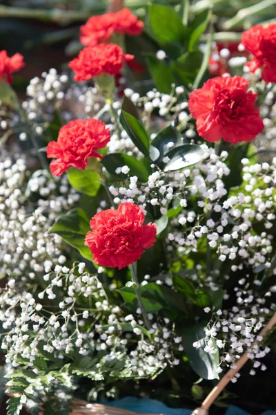 Flores Clavel Rojo Son Gran Ramo — Foto de Stock