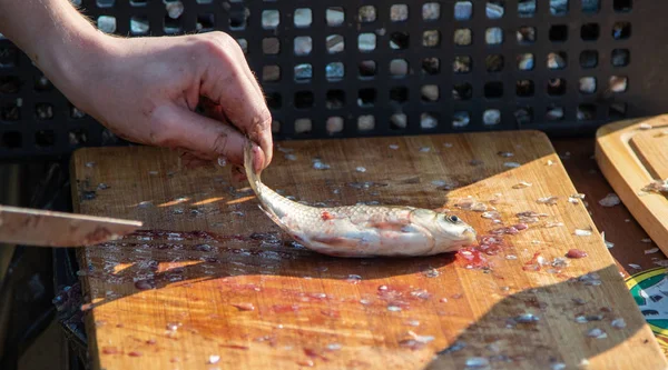 Mesa Limpie Pescado Las Escamas Retire Las Entrañas Pelado Filete — Foto de Stock