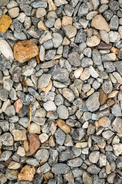 Sea Pebbles Background — Stock Photo, Image