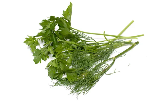 Spicy Green Plants Isolated White Background Dill Parsley — Stock Photo, Image