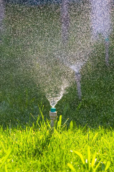 ボケ背景と緑の芝生に散水灌漑システム — ストック写真