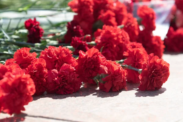 Kırmızı Karanfil Çiçekler Büyük Bir Buket Vardır — Stok fotoğraf