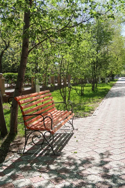 Dřevěný Park Lavice Jarní Krajina — Stock fotografie