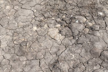 Kurutulmuş kırık toprak gri arka plan