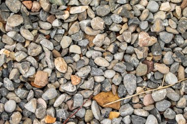 Yuvarlak deniz çakıl arka plan.