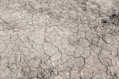 Kurutulmuş kırık toprak gri arka plan