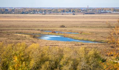 Sonbahar manzarası, sarı ağaçlar, ölü çimenler, mavi nehir. Güneşli bir sonbahar günü.