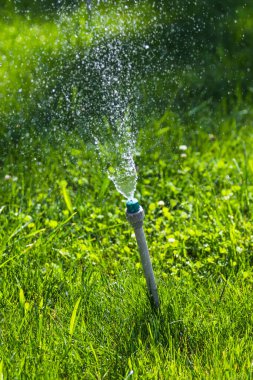 Sulama sistemi bokeh arka plan ile yeşil çim sulama.