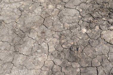 Kurutulmuş kırık toprak gri arka plan