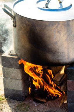 Abstract background, bright flame of fire, burnt pieces of wood.