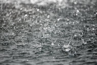 Bulanık arka plan ile arka planda sıçraması su büyük damla