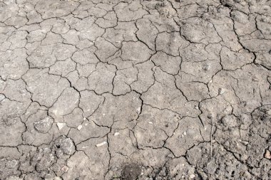 Kurutulmuş kırık toprak gri arka plan