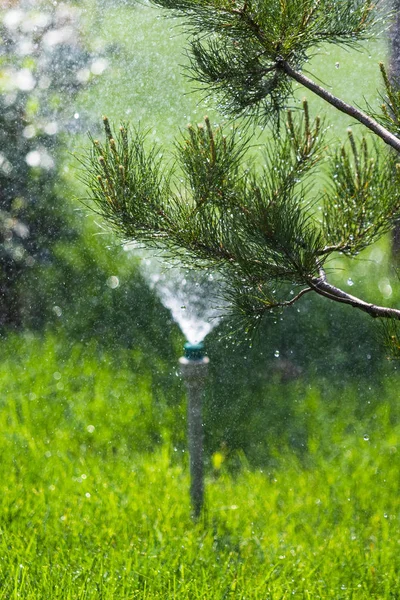 Irrigation System Watering Green Grass Bokeh Background — Stock Photo, Image
