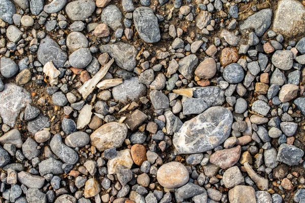 背景圆的海鹅卵石 — 图库照片