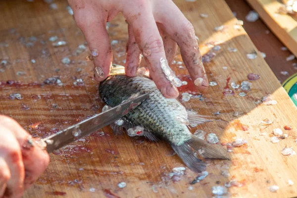 Rengör Fisken Från Fjällen Bordet Och Avlägsna Inälvorna Skala Och — Stockfoto