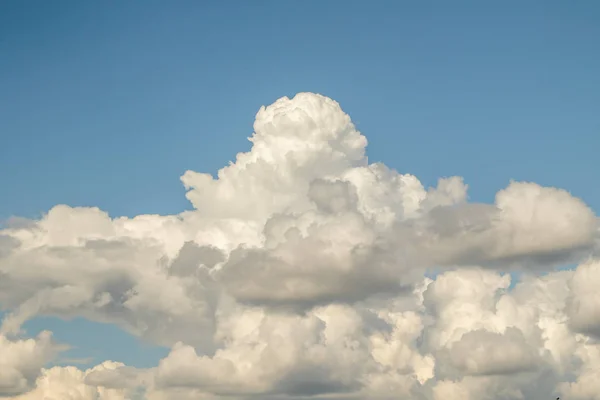 Putih Kuat Cumulus Awan Langit Biru — Stok Foto