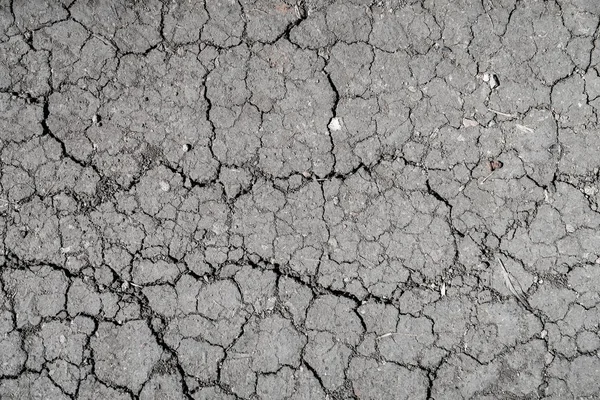 Fondo Tierra Agrietada Textura Tierra Negra —  Fotos de Stock