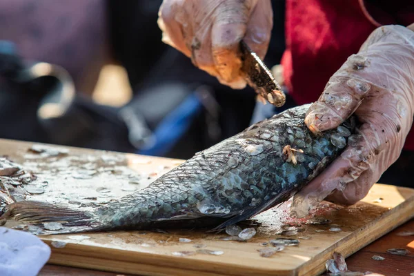 On the table, clean the fish from the scales and remove the entrails. Peeling and fillet of fresh fish that use a knife to clean the fish. Seafood cooking.