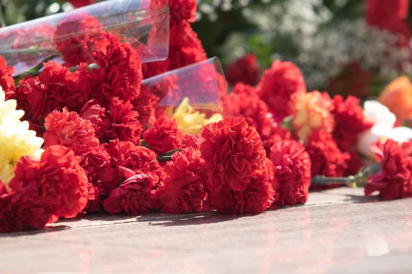 Rote Nelkenblüten Sind Ein Toller Strauß — Stockfoto