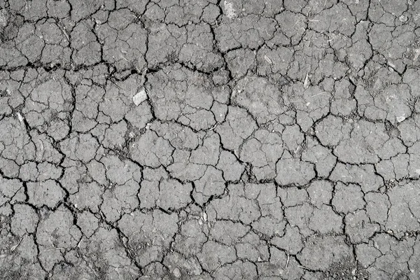 Background cracked earth, black earth texture.