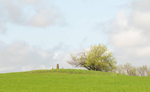 Landscape green field hills sky with clouds