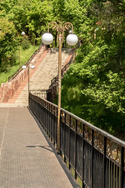 Λαμπτήρες Στέκονται Στη Γέφυρα Καλοκαιρινό Πάρκο Τοπίου — Φωτογραφία Αρχείου